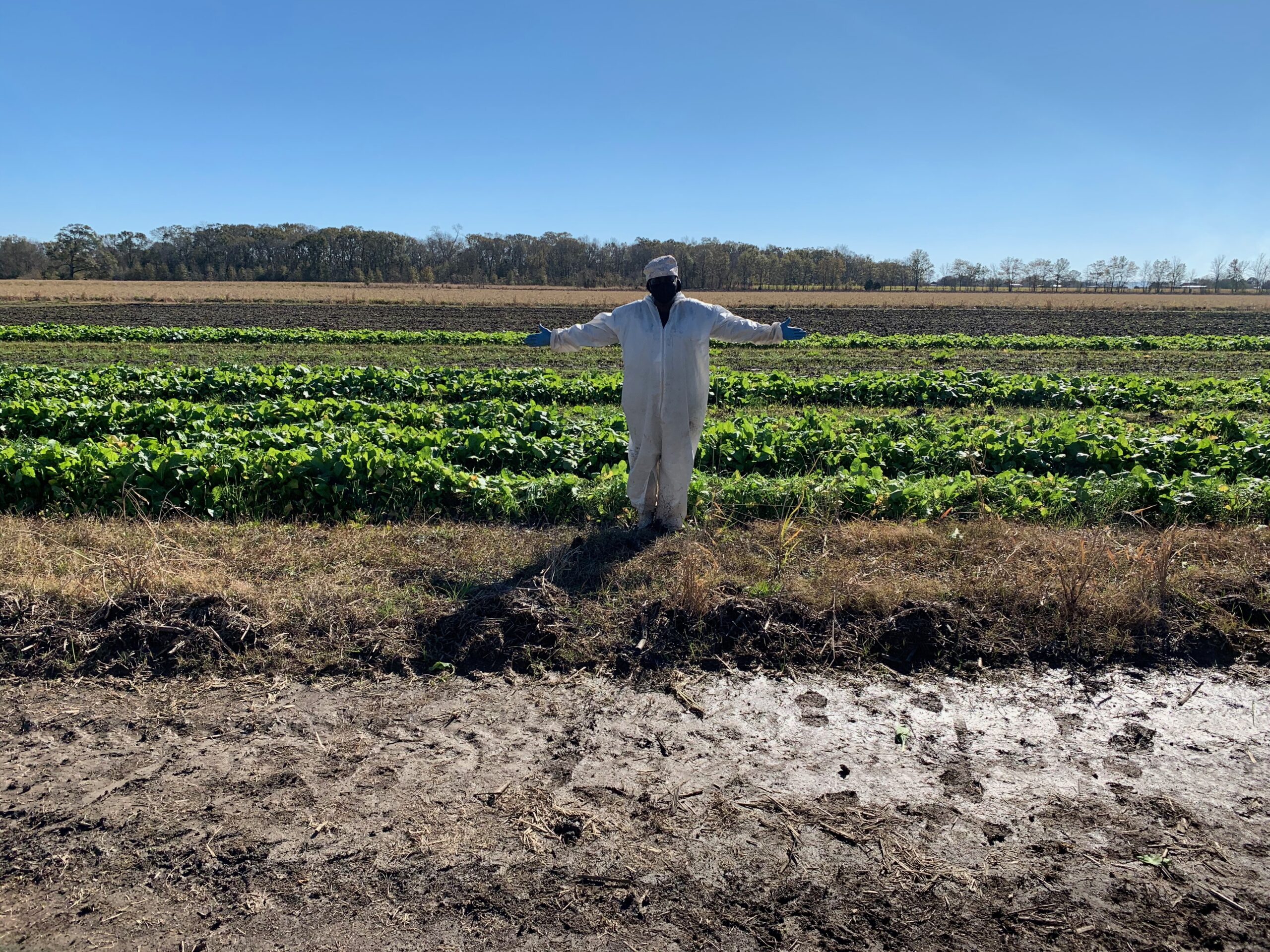 Louisiana Farming Co-Op