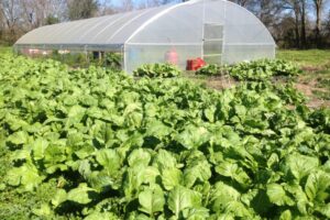 Farming Co-Op in Louisiana