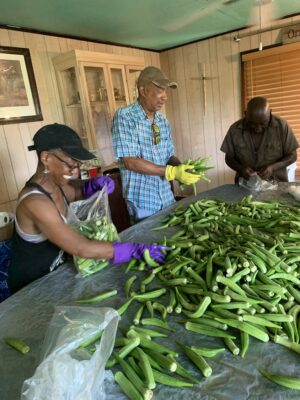 UNADJUSTEDNONRAW_thumb_1183