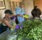 We buy from local growers in Louisiana.