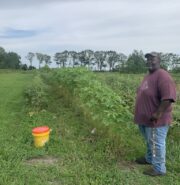 UNADJUSTEDNONRAW_thumb_11a9