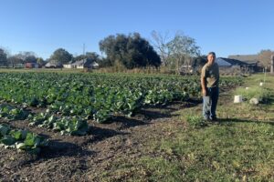 UNADJUSTEDNONRAW_thumb_132a