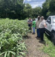 UNADJUSTEDNONRAW_thumb_14b1