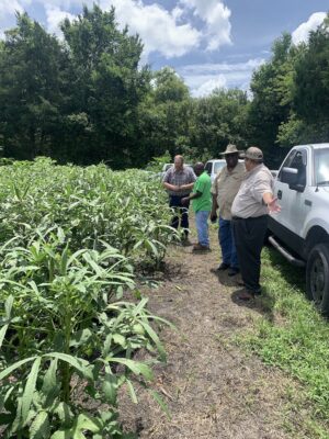 UNADJUSTEDNONRAW_thumb_14b1