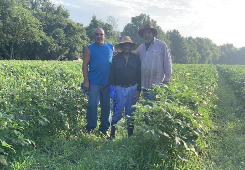 UNADJUSTEDNONRAW_thumb_14d4