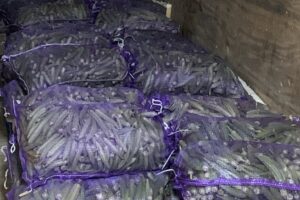 UNADJUSTEDNONRAW_thumb_1506