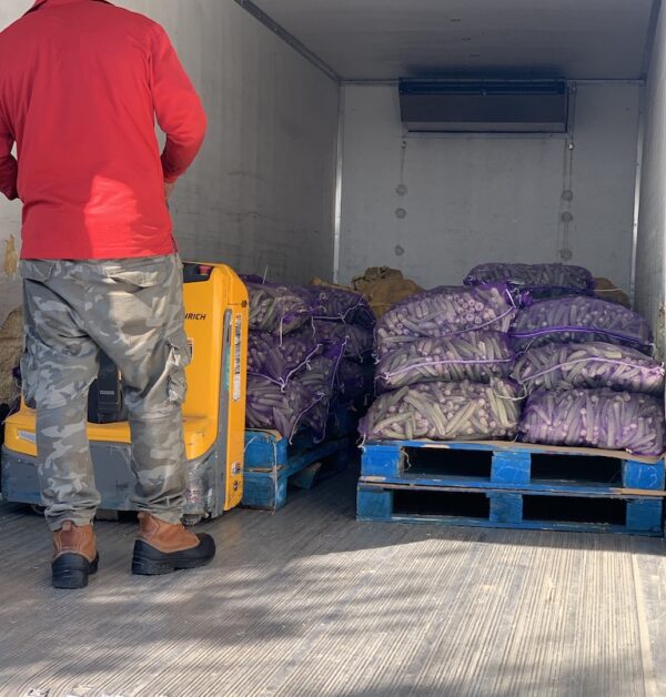 UNADJUSTEDNONRAW_thumb_153b