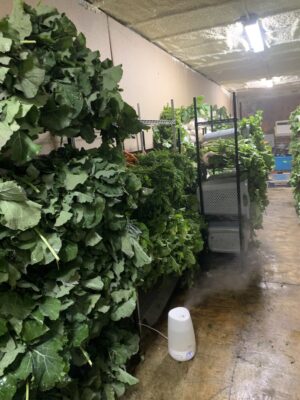 UNADJUSTEDNONRAW_thumb_1668