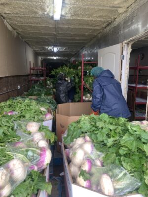 UNADJUSTEDNONRAW_thumb_168d