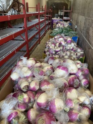 UNADJUSTEDNONRAW_thumb_16f0