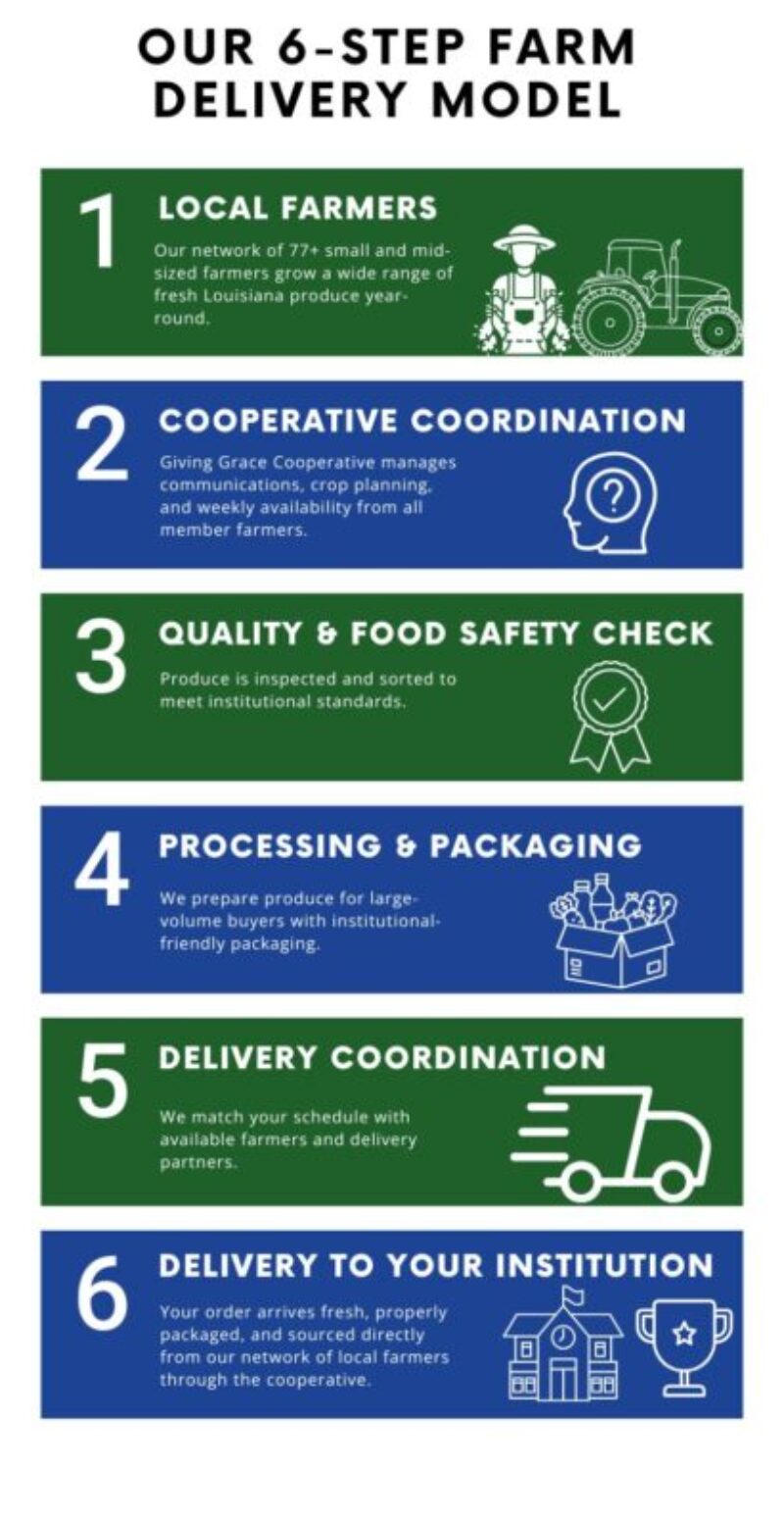 Blue and White Modern Design Process Infographic